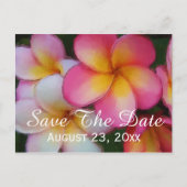 Carte Postale Faire-part Frangipani Plumeria Fleurs Enregistrer la date Mar (Devant)