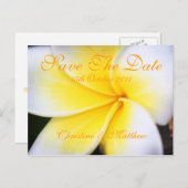 Carte Postale Faire-part Frangipani - Sauvegarder la date (Devant / Derrière)