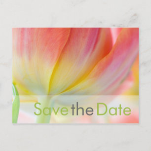 Carte Postale Faire-part Fruehling ・ Enregistrer la date Postkarte