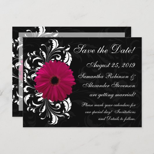 Carte Postale Faire-part Fuchsia Scroll Gerbera Daisy Black Enregistrer la (Devant / Derrière)