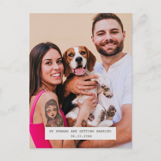 Carte Postale Faire-part Funny Chien photo mariage Enregistrer la date (Devant)