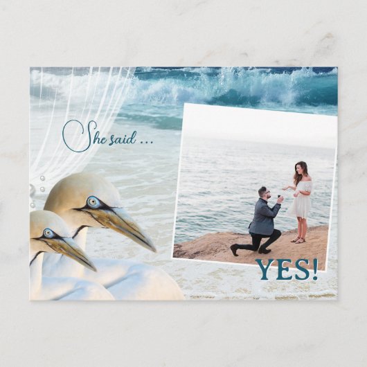 Carte Postale Faire-part Gannet Beach QR Code Photo Enregistrer la date (Devant)