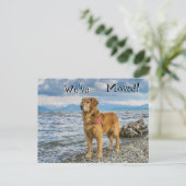 Carte Postale Faire-part Golden retriever à la plage We've Moved (Debout devant)