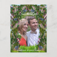 Grapevines, chèvres et colibris