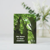 Carte Postale Faire-part Gros hêtres Forêt d'été Déménagement (Debout devant)