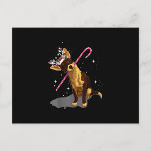 Carte Postale Faire-part guirlandes de Noël chihuahua