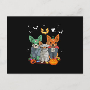 Carte Postale Faire-part Halloween Chihuahua Chien sorcier mignon cadeau Da