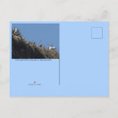 Carte Postale Faire-part Haystack Rock, Oregon (Dos)