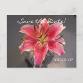 Carte Postale Faire-part Hémérocalle rose et blanc - Sauvegarder la date (Dos)