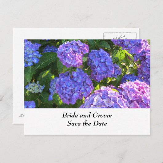Carte Postale Faire-part Hydrangeas de mariage bleus et violets (Devant / Derrière)