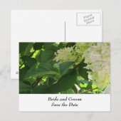 Carte Postale Faire-part Hydrangeas Mariage Blanc (Devant / Derrière)
