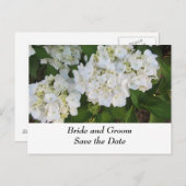 Carte Postale Faire-part Hydrangeas Mariage Blanc (Devant / Derrière)
