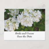 Carte Postale Faire-part Hydrangeas Mariage Blanc (Devant)