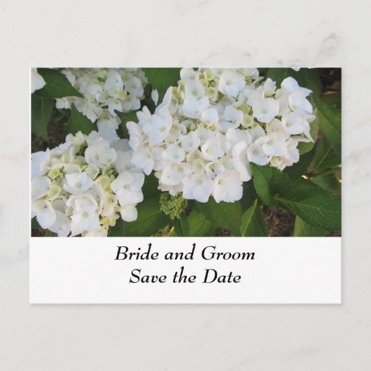 Carte Postale Faire-part Hydrangeas Mariage Blanc (Devant)