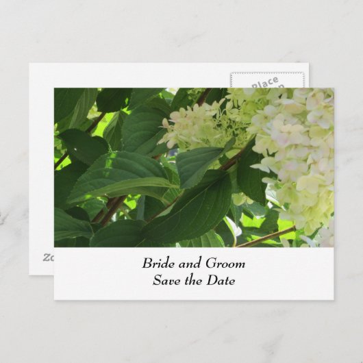 Carte Postale Faire-part Hydrangeas Mariages blancs (Devant / Derrière)