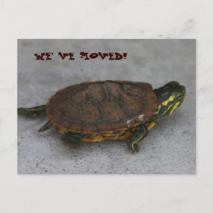 CARTE POSTALE FAIRE-PART IMG_1195, NOUS NOUS SOMMES DÉPLACÉS !