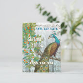 Carte Postale Faire-part Inséparable Peacock assis dans un arbre Enregistre (Debout devant)