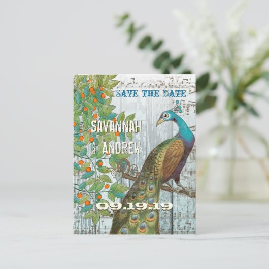 Carte Postale Faire-part Inséparable Peacock assis dans un arbre Enregistre (Debout devant)