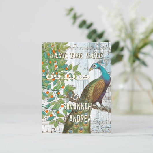 Carte Postale Faire-part Inséparable Peacock assis dans un arbre Enregistre (Debout devant)