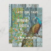 Carte Postale Faire-part Inséparable Peacock assis dans un arbre Enregistre (Devant / Derrière)