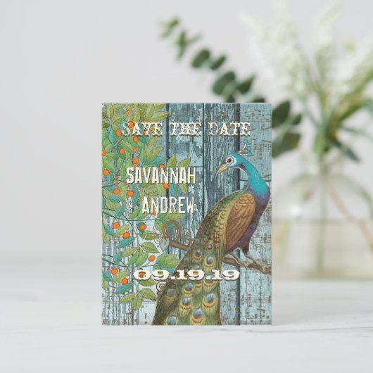 Carte Postale Faire-part Inséparable Peacock assis dans un arbre Enregistre (Debout devant)