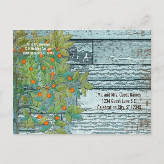 Carte Postale Faire-part Inséparables turquoises assis dans un arbre Enregi (Dos)