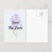 Carte Postale Faire-part Iris triple pourpre (Dos)