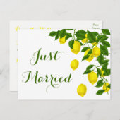 Carte Postale Faire-part Jaune Juste Marié Citron Vert Mariage Agrumes (Devant / Derrière)