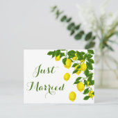 Carte Postale Faire-part Jaune Juste Marié Citron Vert Mariage Agrumes (Debout devant)