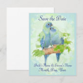 Carte Postale Faire-part Joli Couple de Perroquets Tropicaux se Câlinant po (Devant / Derrière)