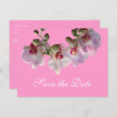 Carte Postale Faire-part jolies fleurs d'orchidées roses sauver la date (Devant / Derrière)