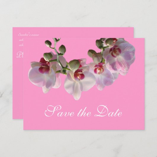 Carte Postale Faire-part jolies fleurs d'orchidées roses sauver la date (Devant / Derrière)