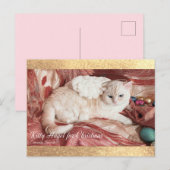 Carte Postale Faire-part Kitty Angel pour Noël (Devant / Derrière)
