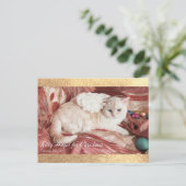 Carte Postale Faire-part Kitty Angel pour Noël (Debout devant)