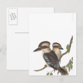 Carte Postale Faire-part Kookaburra géant d'Australie (Devant / Derrière)