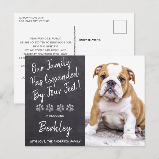 Carte Postale Faire-part La famille s'agrandit de quatre pattes nouveau chi (Devant / Derrière)