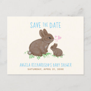 Carte Postale Faire-part Lapins Mignons Garçon Baby Shower Enregistrer La D