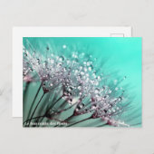 Carte Postale Faire-part Le bon matin des fleurs (Devant / Derrière)