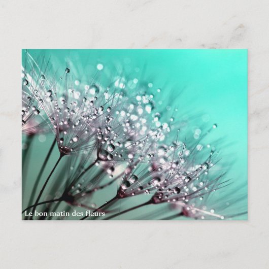 Carte Postale Faire-part Le bon matin des fleurs (Devant)