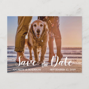 Carte Postale Faire-part Le chien sur la plage avec des couples font gagner