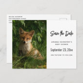 Carte Postale Faire-part Le chou renard dans une forêt verte (Devant / Derrière)