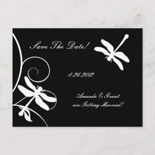 Carte Postale Faire-part Libellule blanche et noire Enregistrer la date