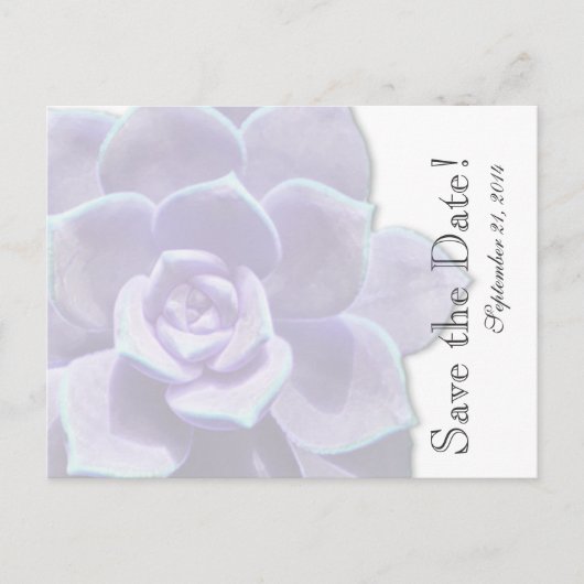 Carte Postale Faire-part Lilac translucide Succulent enregistrer la date (Devant)