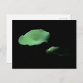 Carte Postale Faire-part Lotus Feuilles (Devant / Derrière)