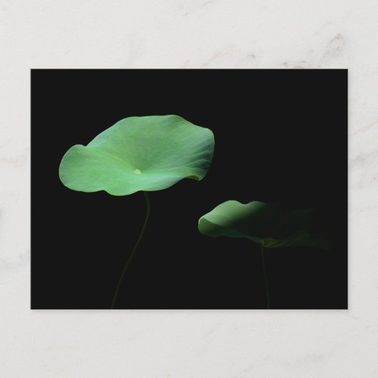 Carte Postale Faire-part Lotus Feuilles (Devant)