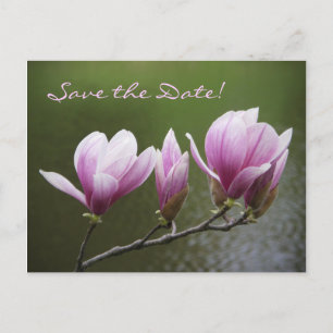 Carte Postale Faire-part Magnolias, sauvez la date !