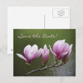 Carte Postale Faire-part Magnolias, sauvez la date ! (Devant / Derrière)