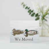 Carte Postale Faire-part Mallards (Debout devant)