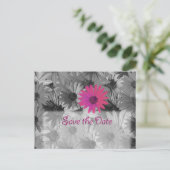 Carte Postale Faire-part marguerite rose enregistrer la date (Debout devant)