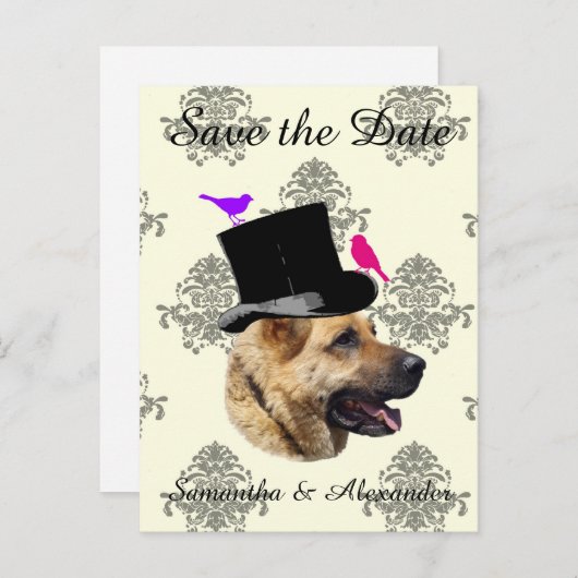 Carte Postale Faire-part Mariage amusant chien du marié save the date (Devant / Derrière)